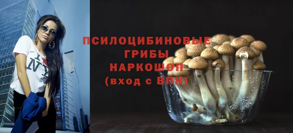 a pvp Алексин