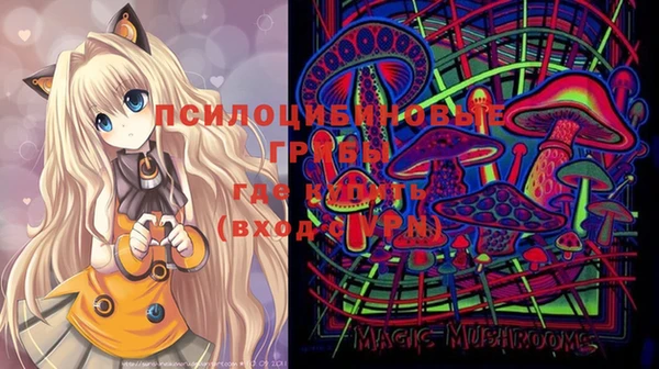 ГАЛЛЮЦИНОГЕННЫЕ ГРИБЫ Алексеевка