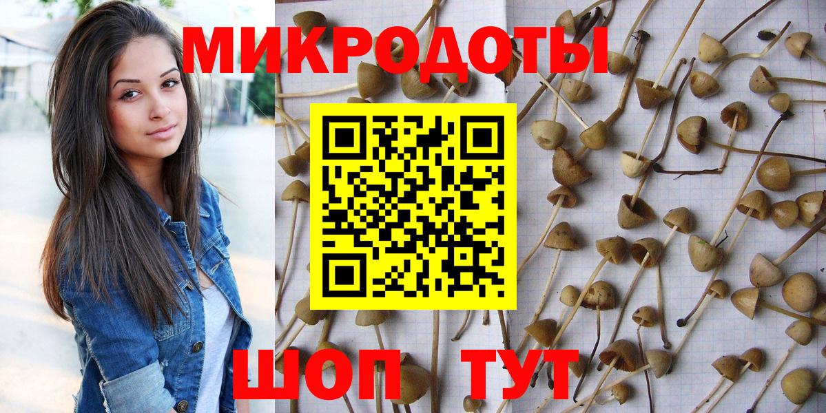 Лесосибирск  Галлюциногенные грибы мухоморы  Псилоцибиновые грибы Psilocybe  Вход с VPN 
