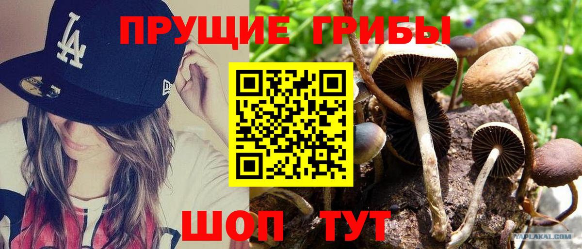 Галлюциногенные грибы мухоморы Лесосибирск